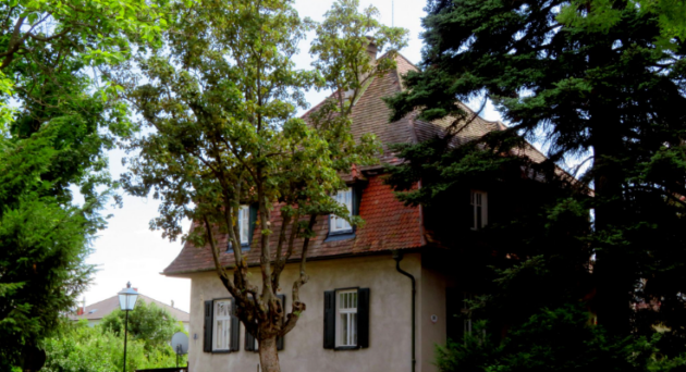 súdny znalec nehnuteľnosti